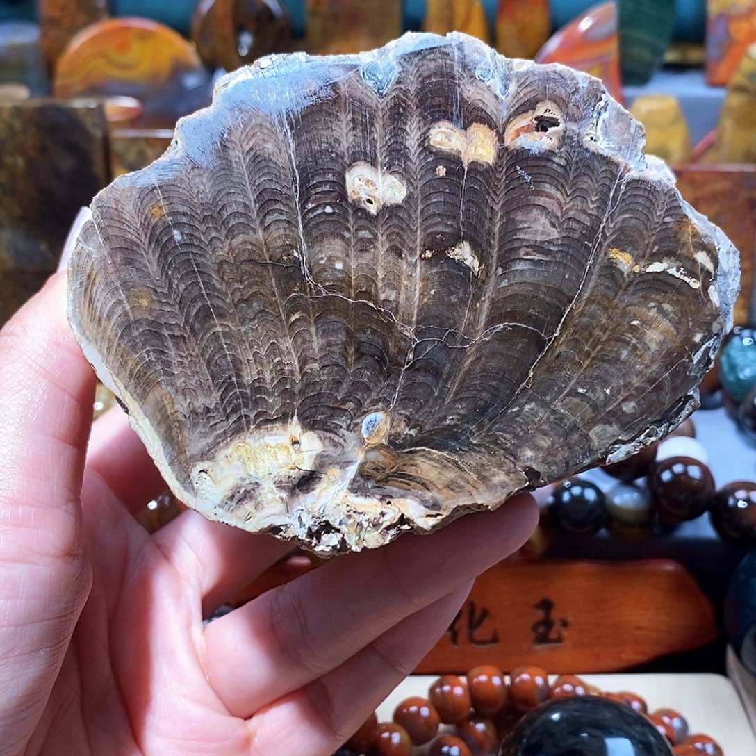 硅化玉天然北票硅化玉原石未镶嵌天然北票硅化玉原石