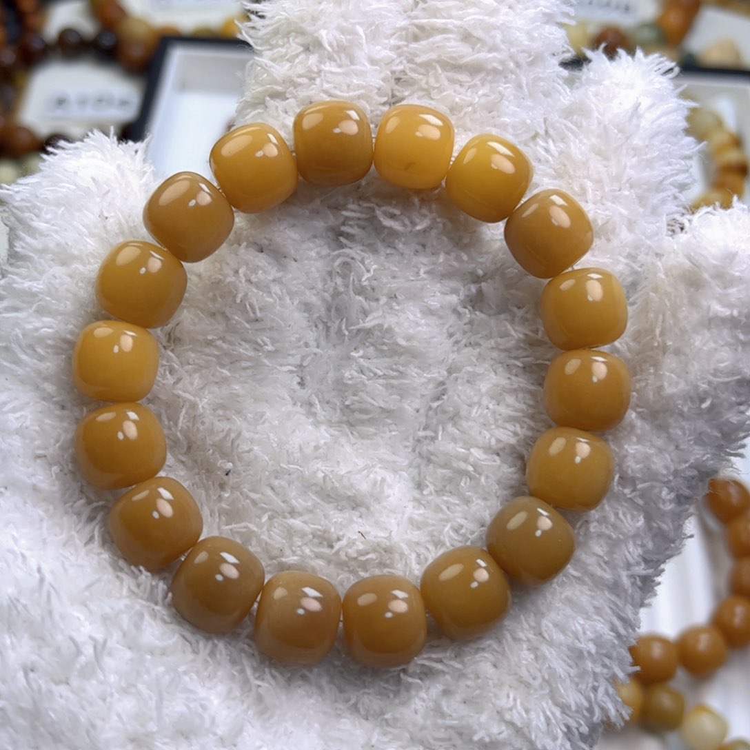 菩提根/象牙果手串星**✨新款