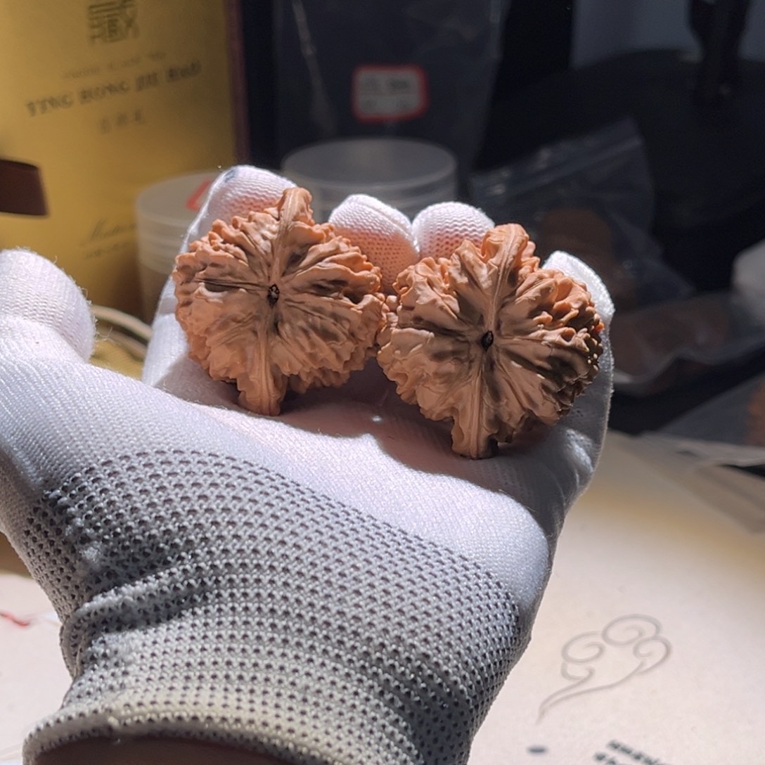 醉***河官帽 官帽。官帽 官帽。