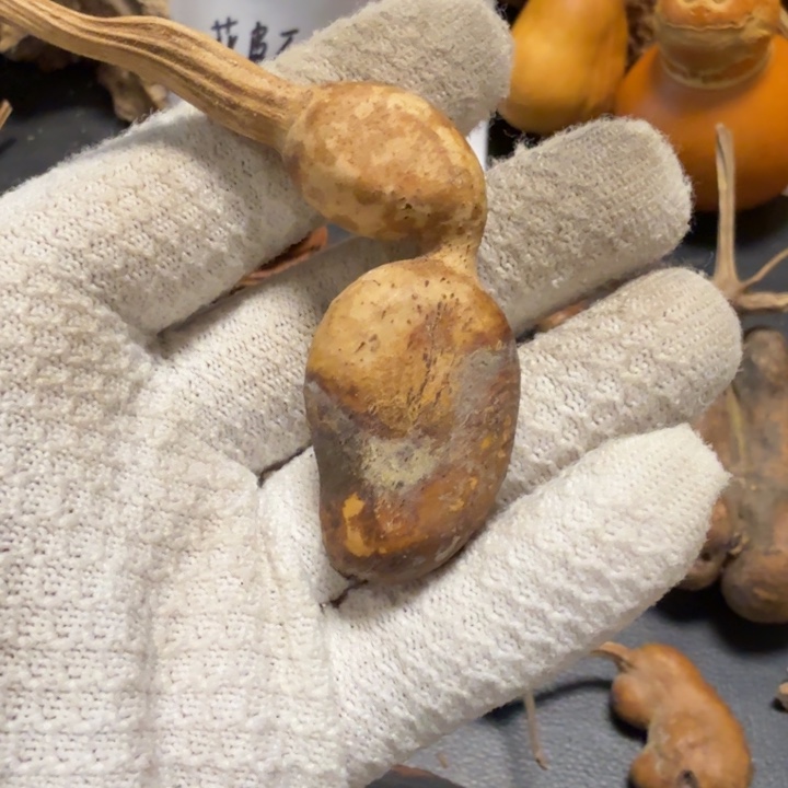 难***言66666677777788888999