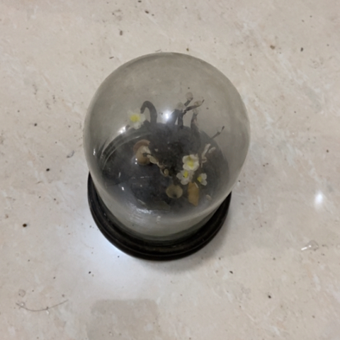 z c z c z c z x x