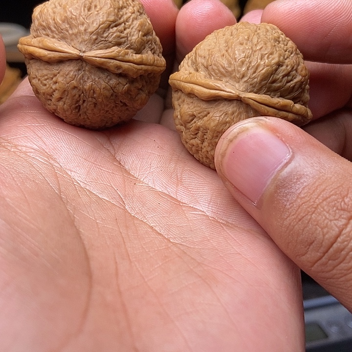 文玩核桃吊坠福禄