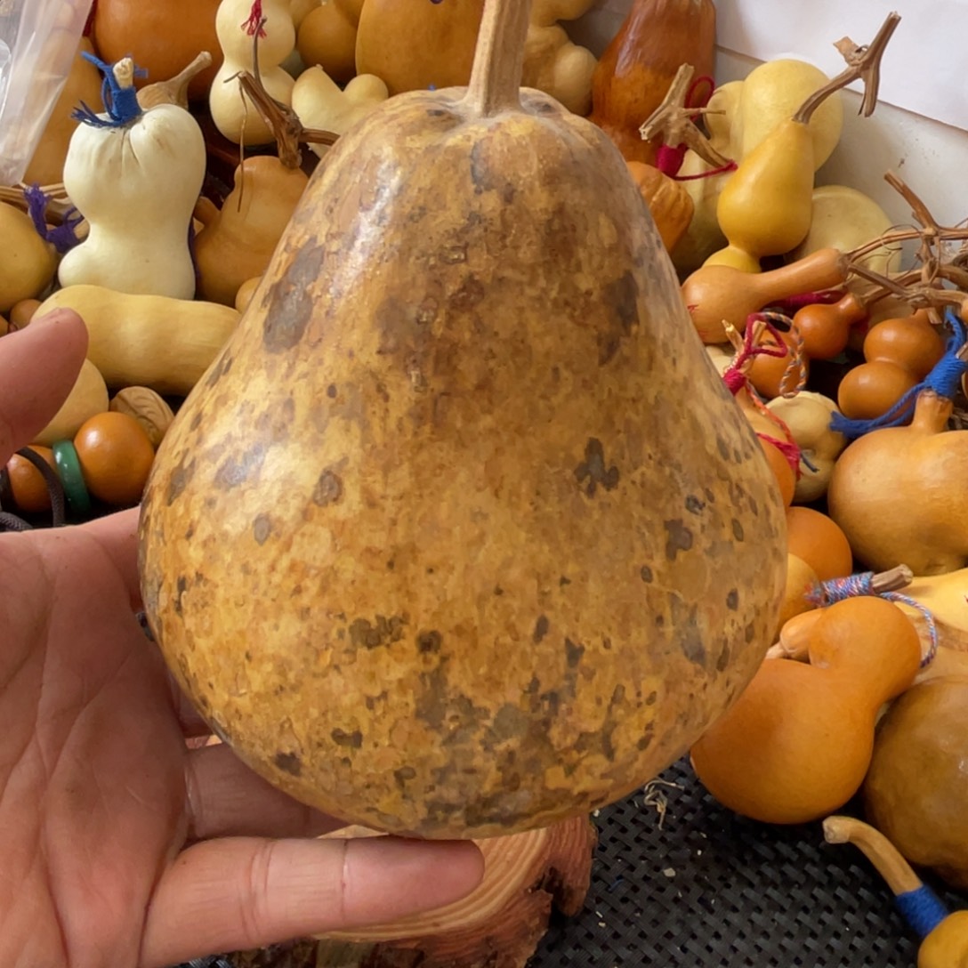 普***r葫芦哈哈哈哈哈哈回家