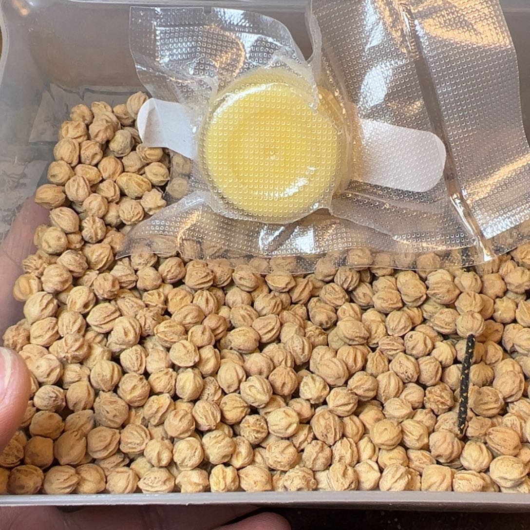 兜***圈柏香籽/百香籽吊坠