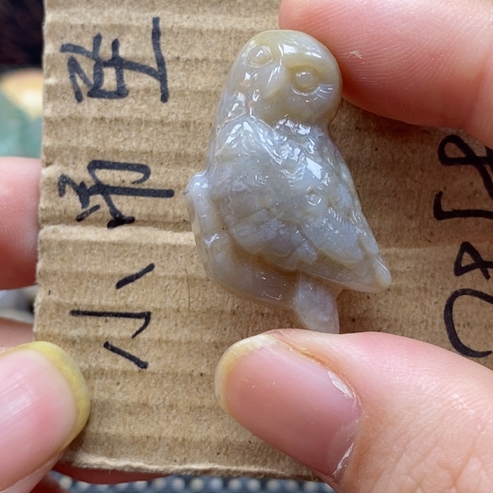 硅化珊瑚（珊瑚玉）颈饰未镶嵌