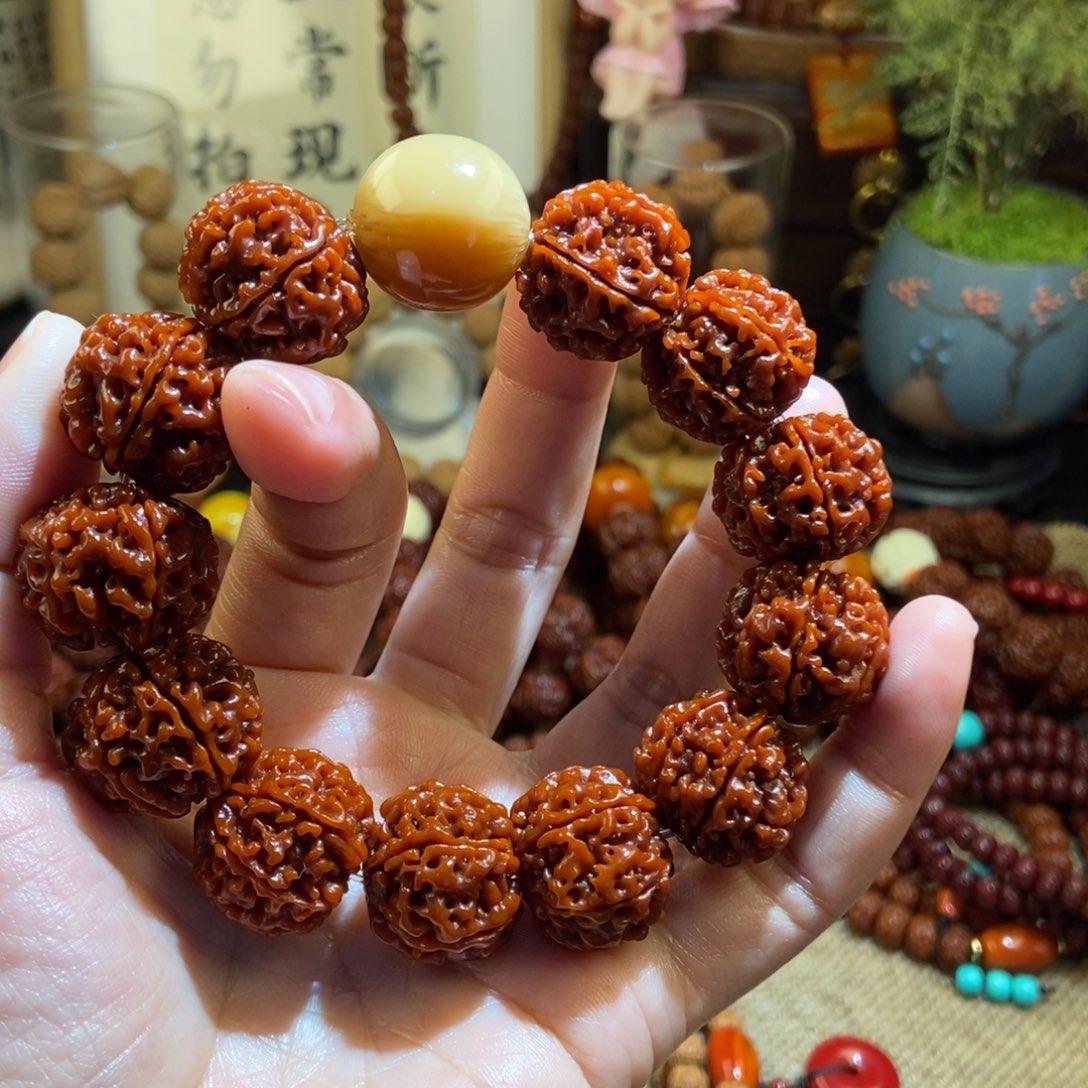 金刚菩提手串216玉化羊角