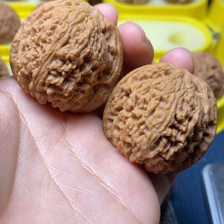 惜***愁文玩核桃南疆石41