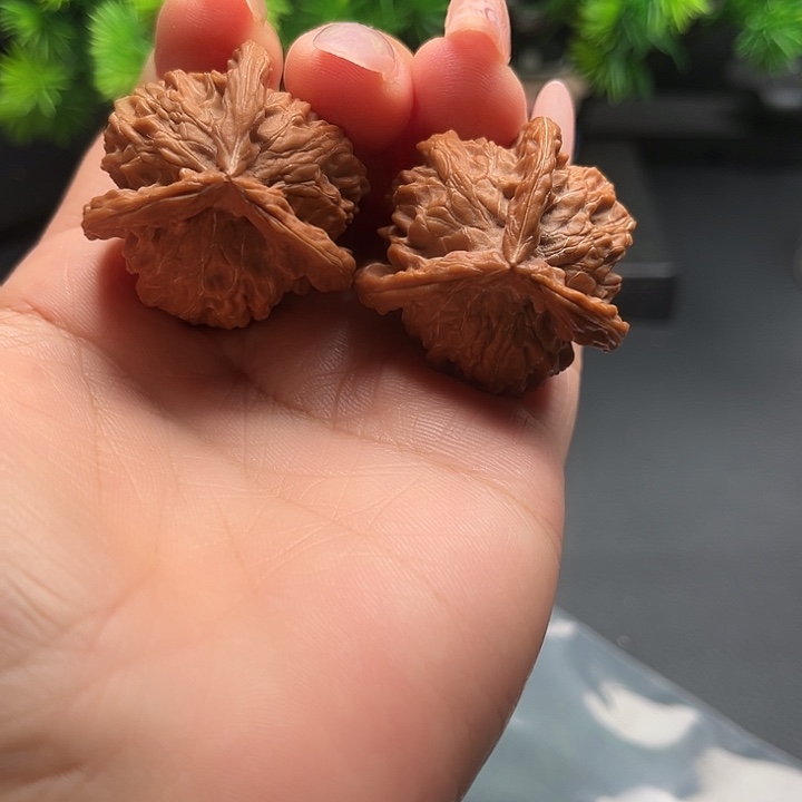 核桃36盘山公子帽全品
