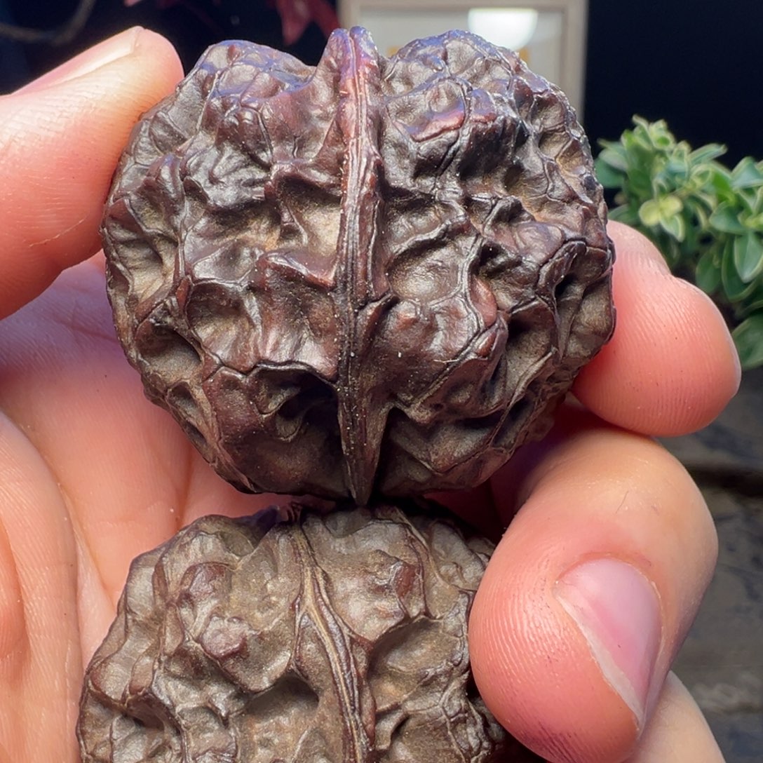 吊坠文玩核桃七彩皇冠43mm