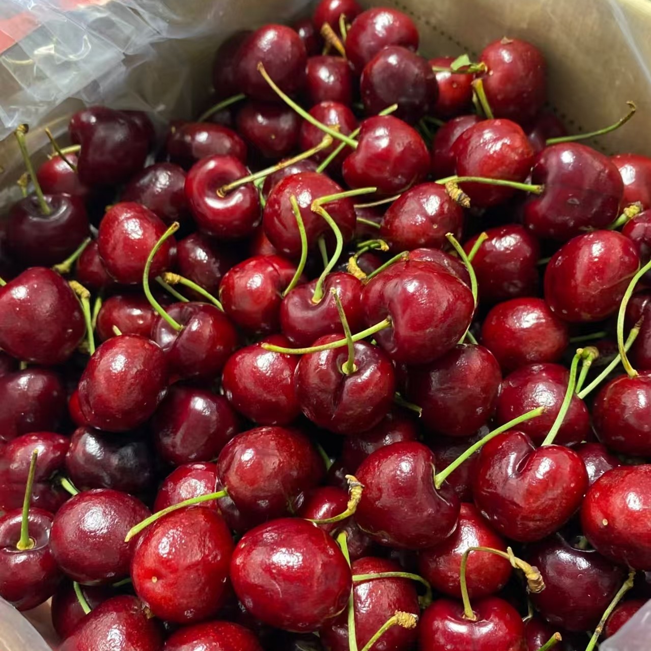 智力桑缇娜车厘子空运树熟JD加黑＋大88二斤桑提娜樱桃阿根廷共和国