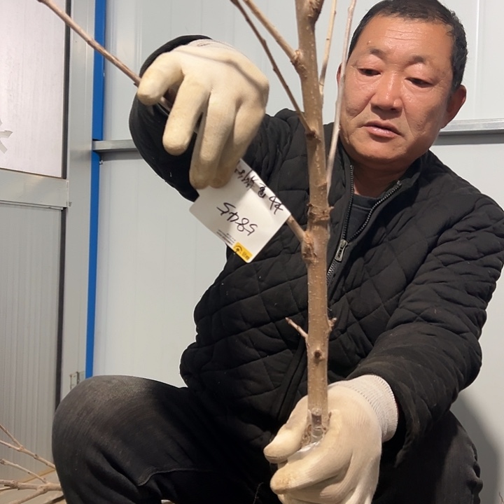 以实际为准直播间一物一拍100元