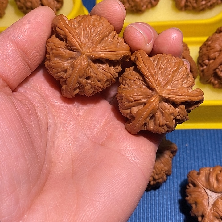 雷****文玩核桃把件白狮子三棱