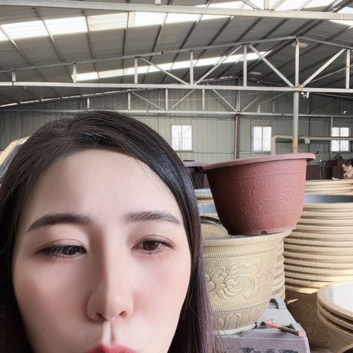 圆83口径花盆两个