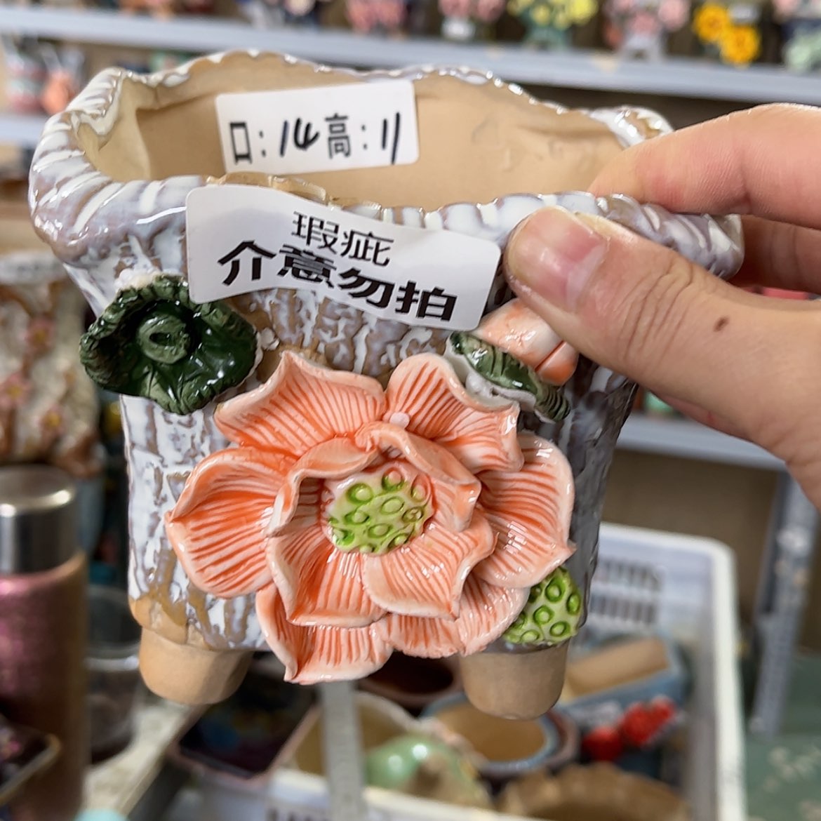 【闪购商品】红陶福利