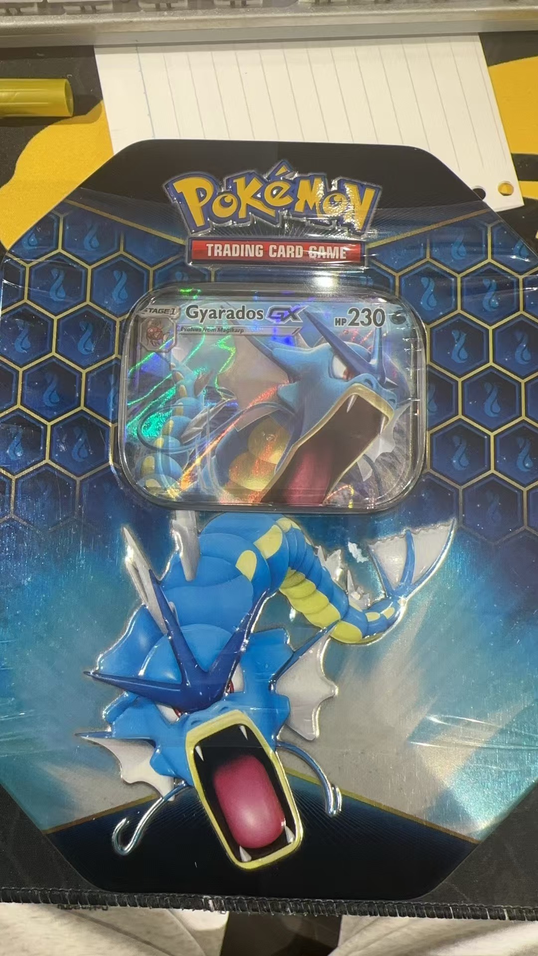ptcg宝可梦美版hif铁盒