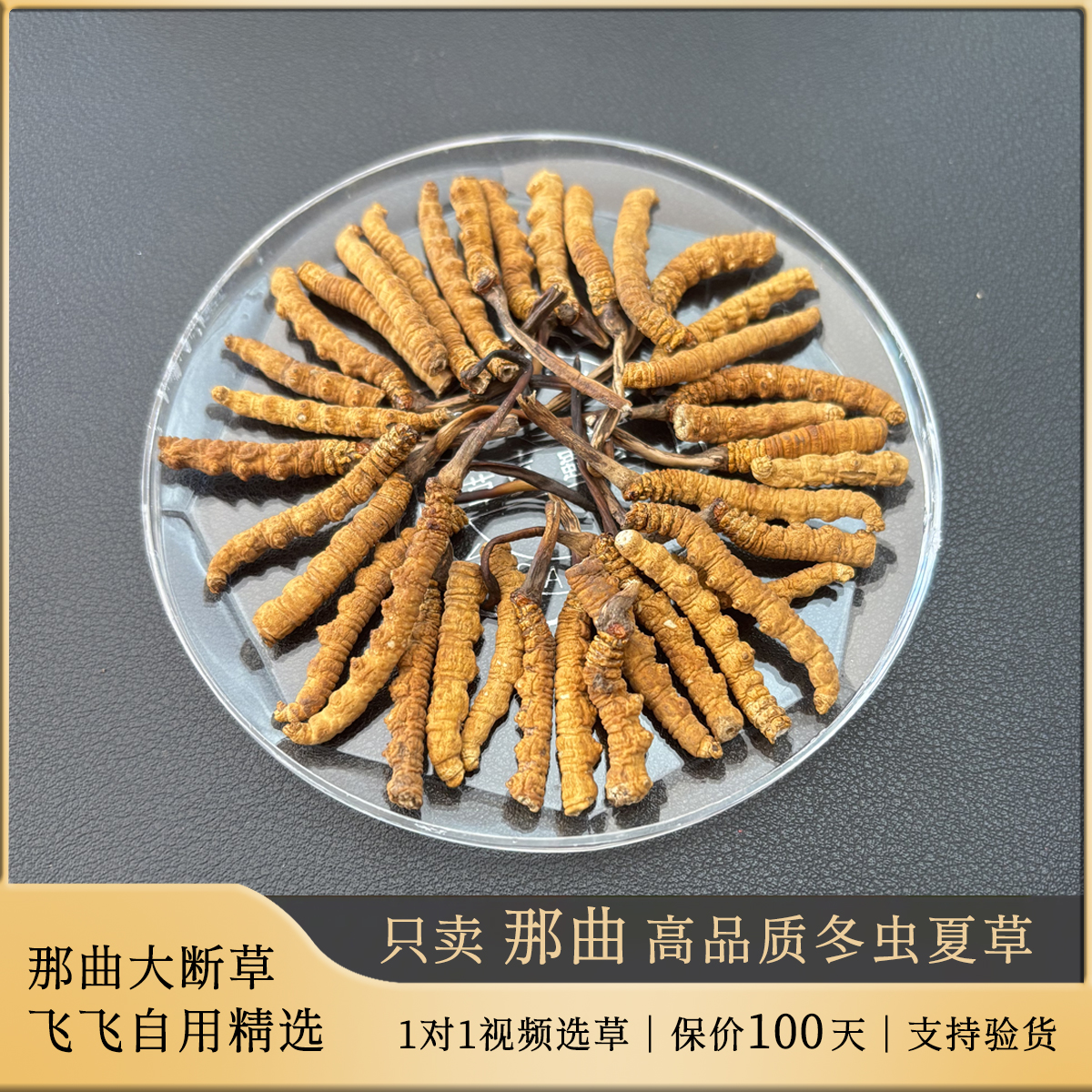 【那曲断草】西藏飞飞 高海拔甄选冬虫夏草 品质10克装产区直发