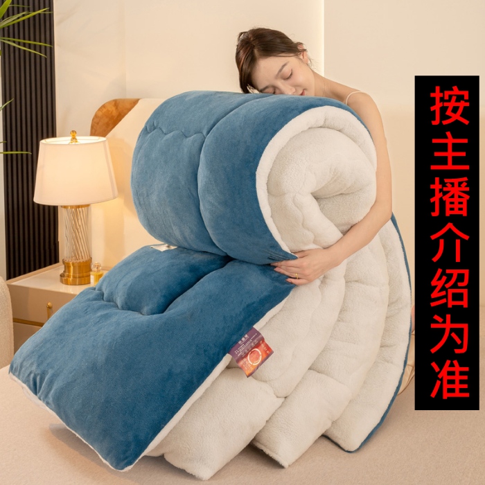 2.0米被子【按主播介绍为准】被芯