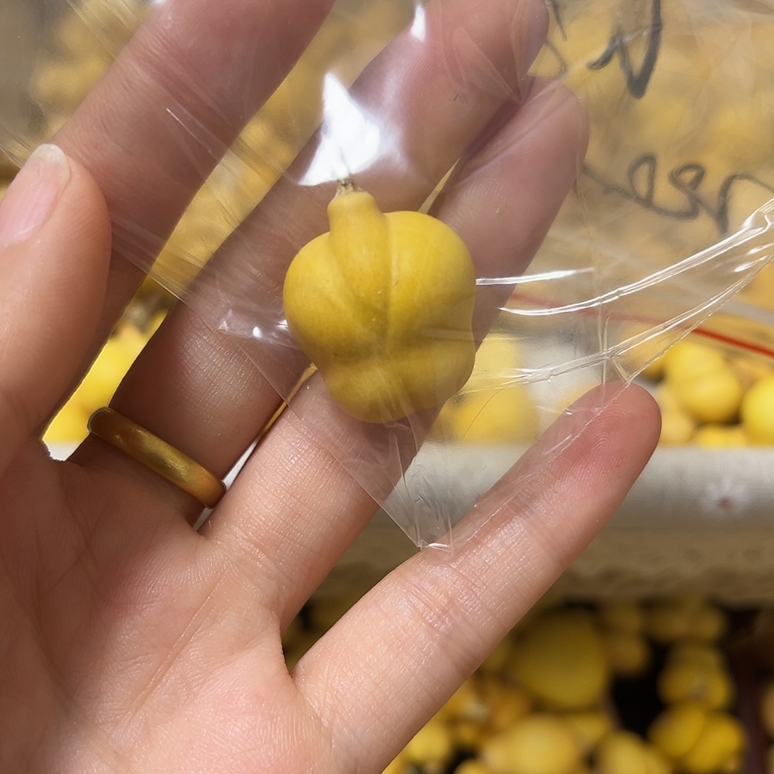 ****y葫芦打孔不退不换