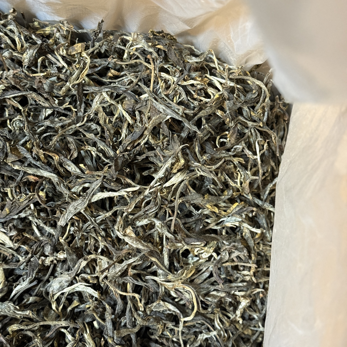 小户赛红土地大树早春   2021年    260克生茶散茶（春）