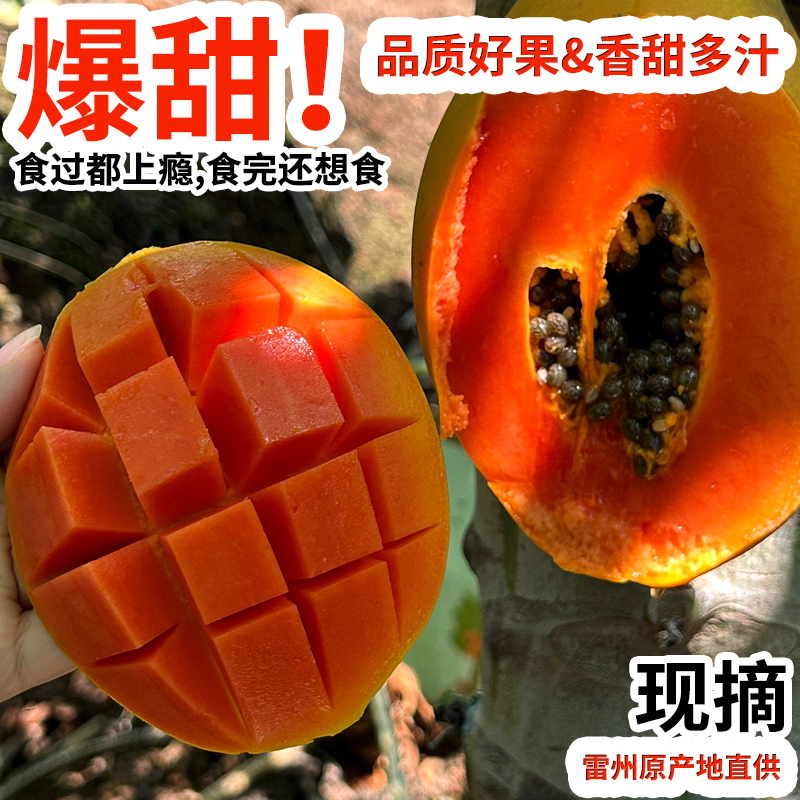 树上熟冰糖心木瓜雷州多汁红心木瓜细腻多汁丝滑软糯京东包邮