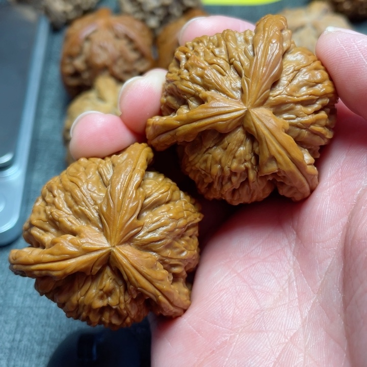 工艺三棱白狮子三棱