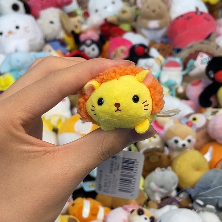 毛绒正版亏本促销