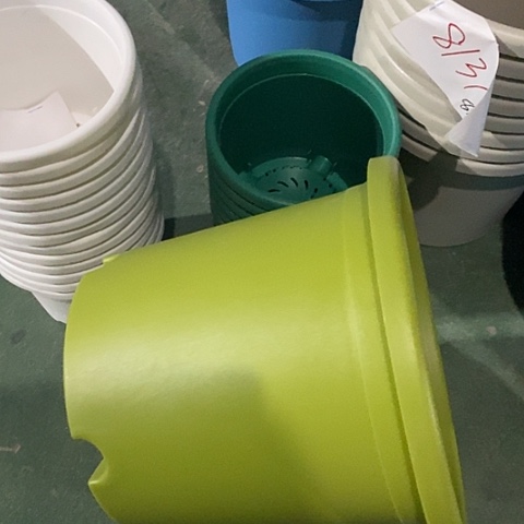 树脂四季4号微瑕果绿无托8个