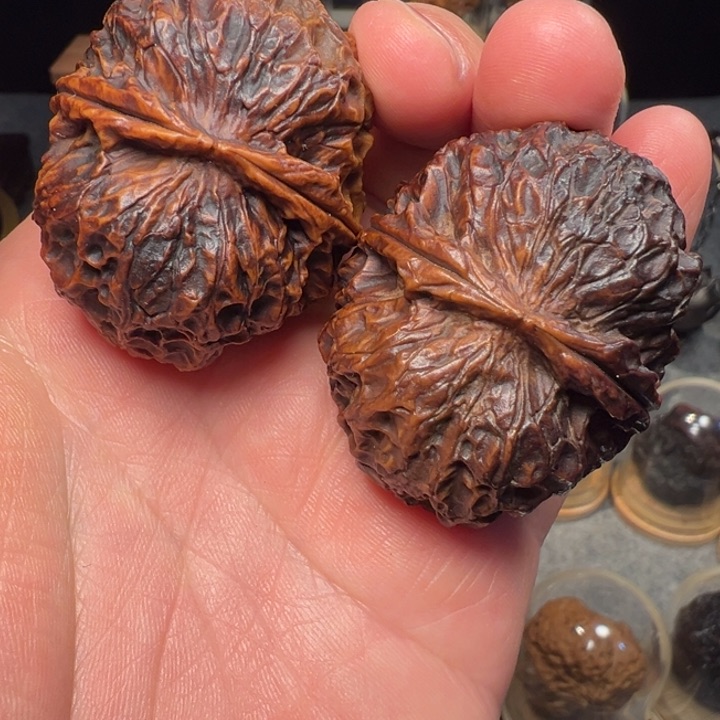 文玩核桃把件聚宝金蟾45mm