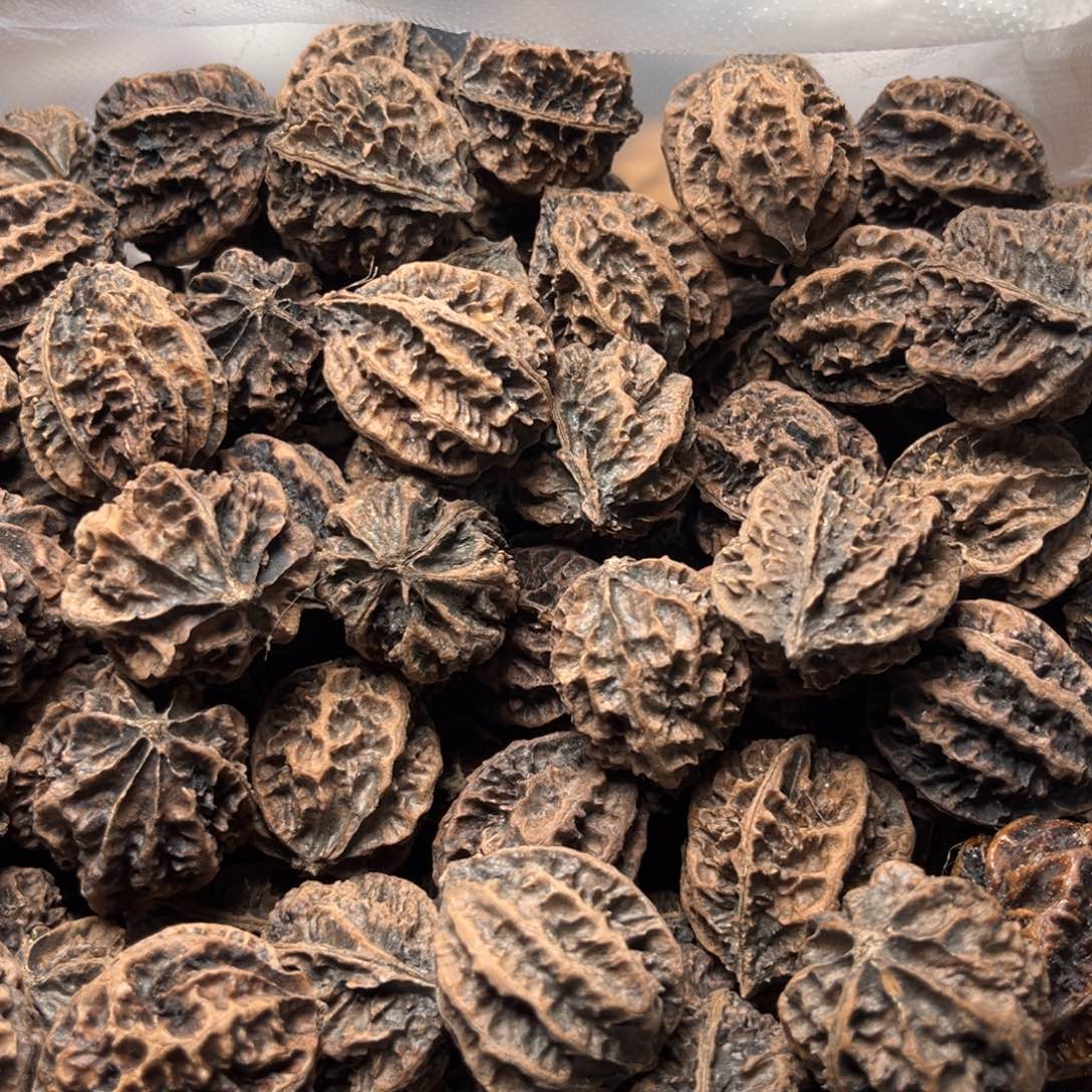 手串文玩核桃核桃36