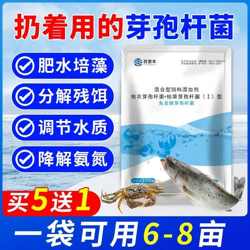欧牧德【免发酵芽孢杆菌】千亿芽孢含量 净水稳水 降解氨氮亚盐