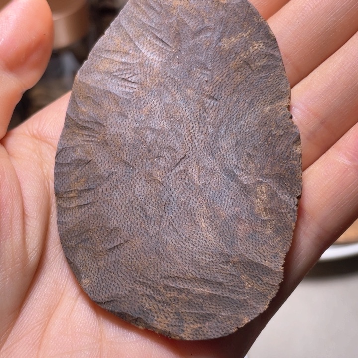 沉香碎屑沉香海南天然包头料7.5克