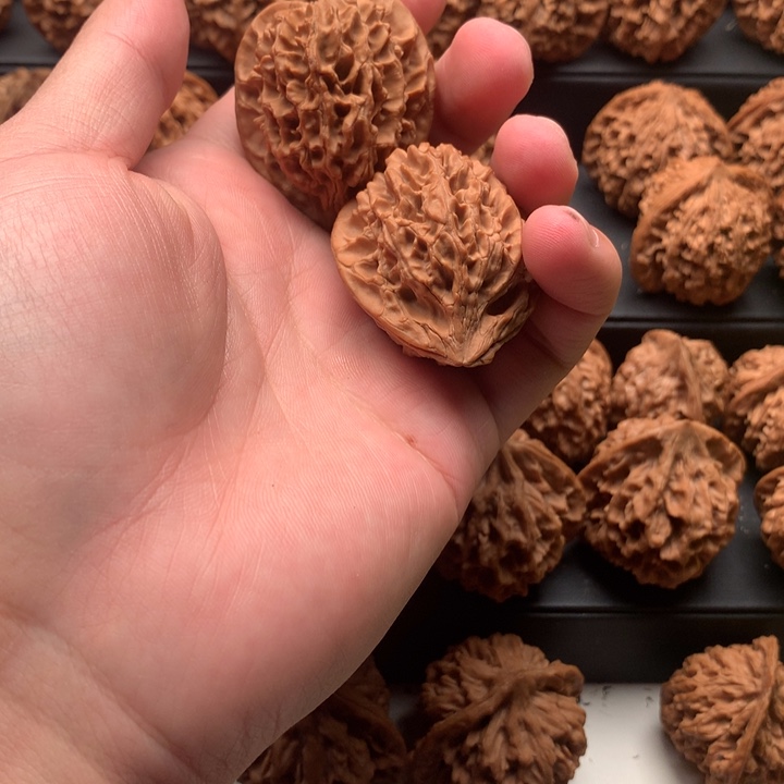 其他核桃美****居秦岭鸡心