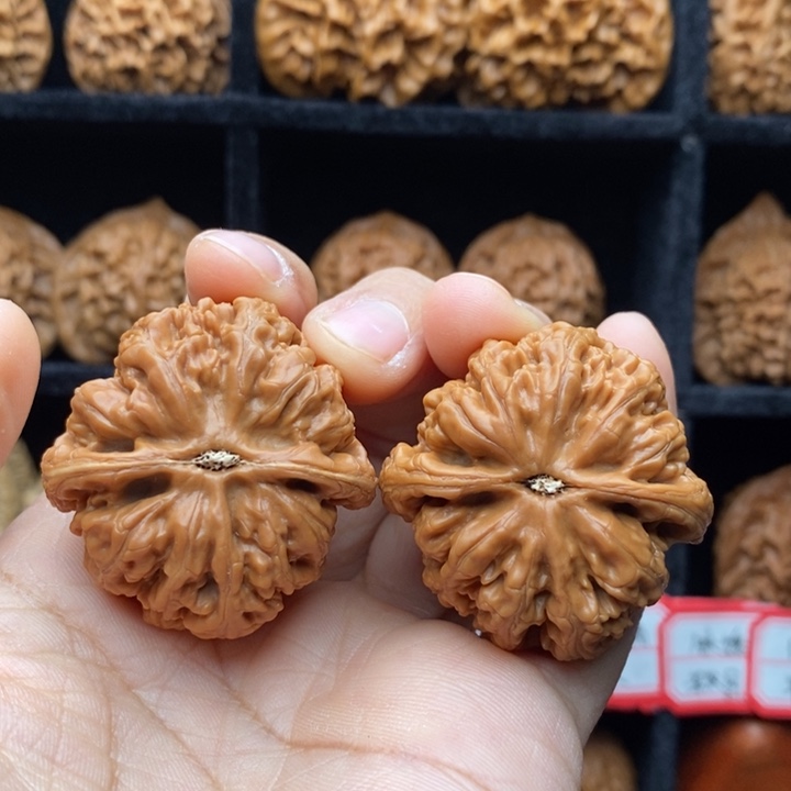 逍***哥核桃平谷粗筋39尺