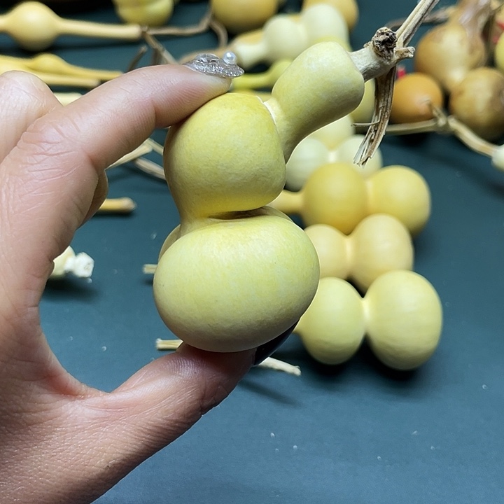 阁***）大叶紫檀（黑酸枝木类）