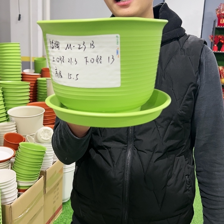 正品矮陶口21高15白色8只带托