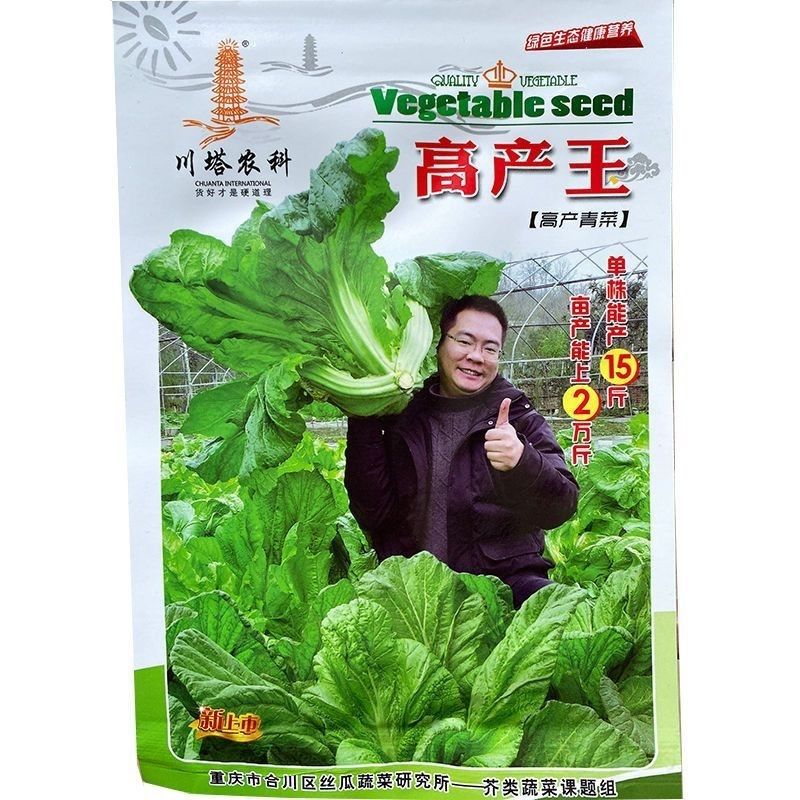 高产王芥菜种子宽叶肉厚迟青菜晚熟秋冬南方蔬菜种孑