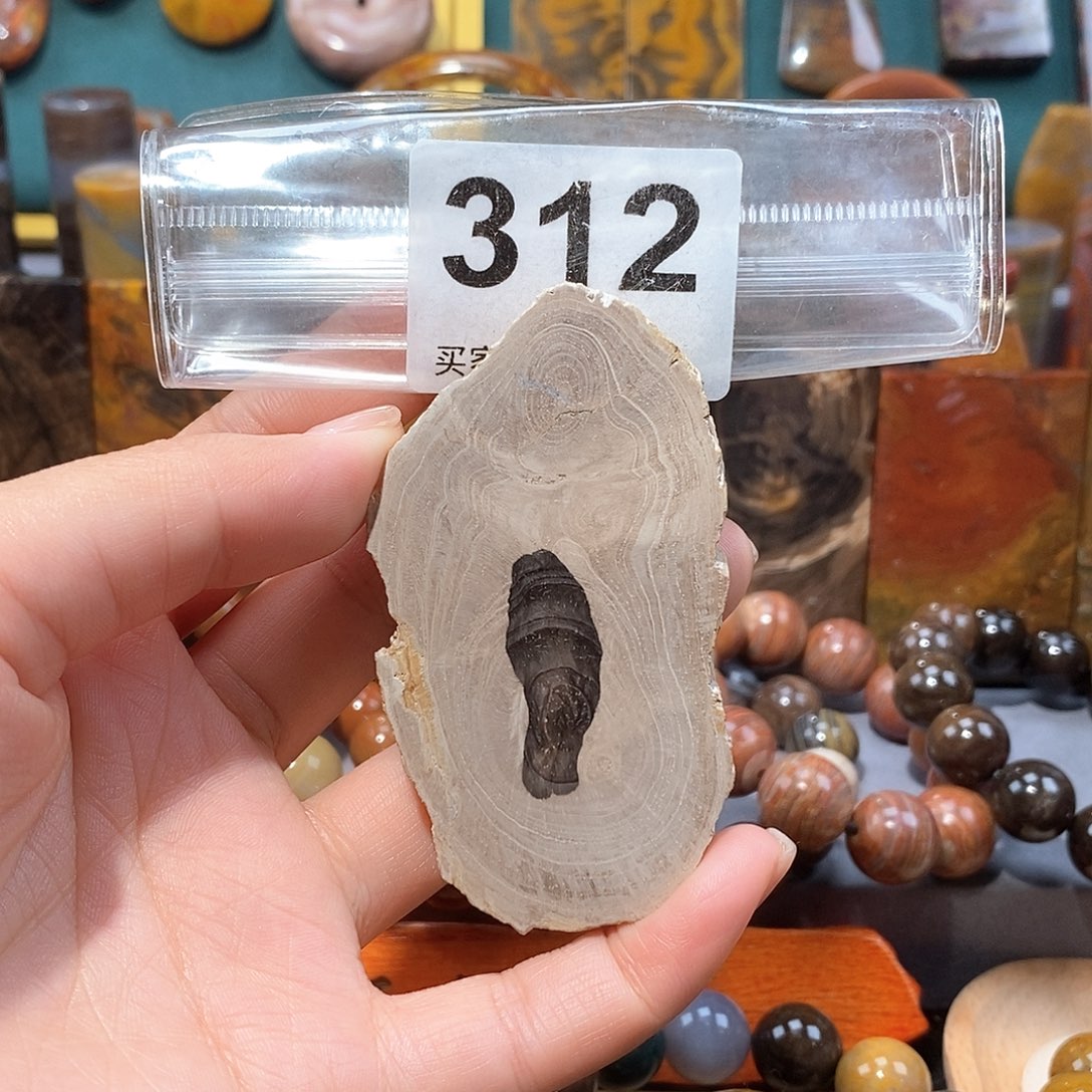 硅化玉天然北票硅化玉原石未镶嵌天然北票硅化玉原石