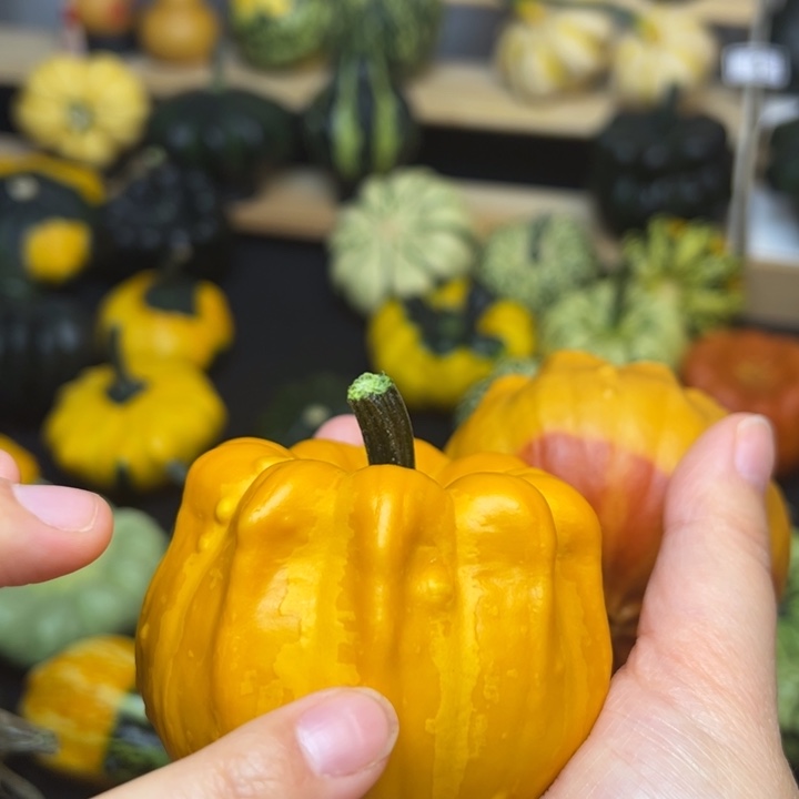 福利福利福利福利