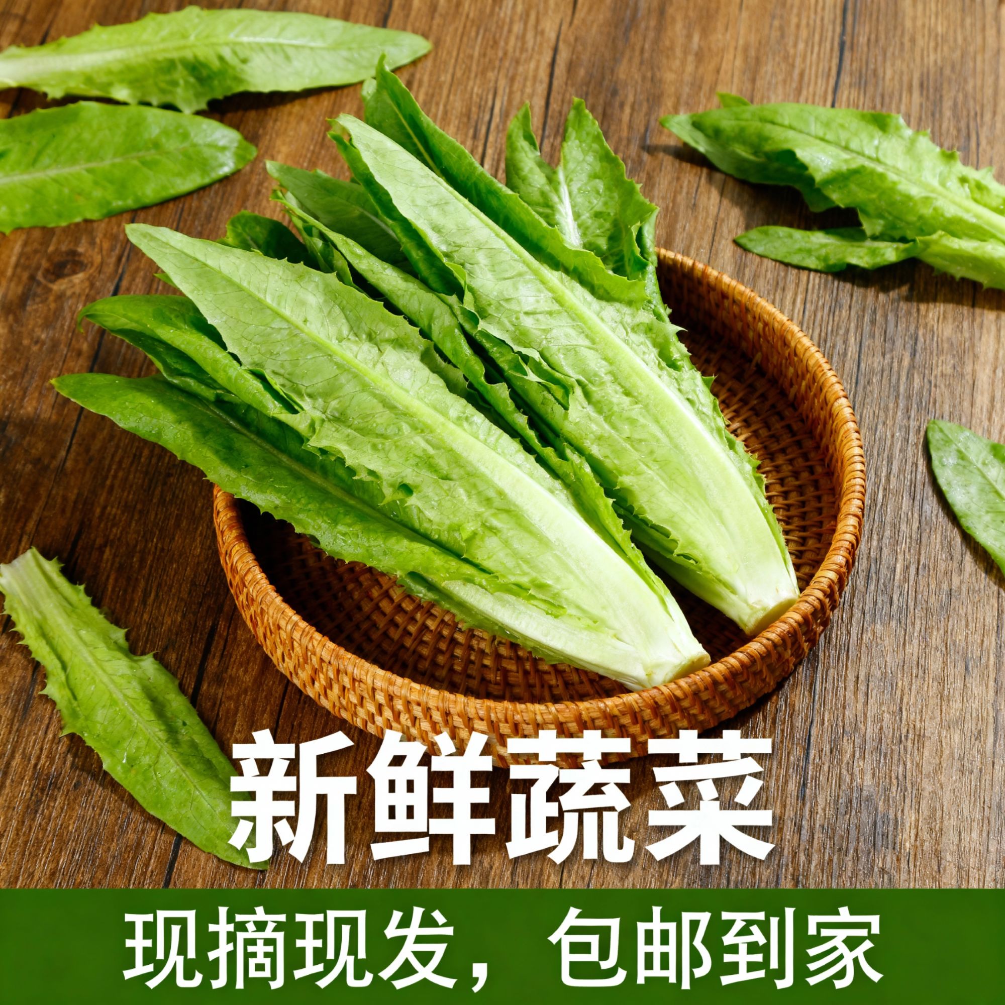 云南油麦菜  新鲜现摘现发 蔬菜青笋尖时令绿叶菜
