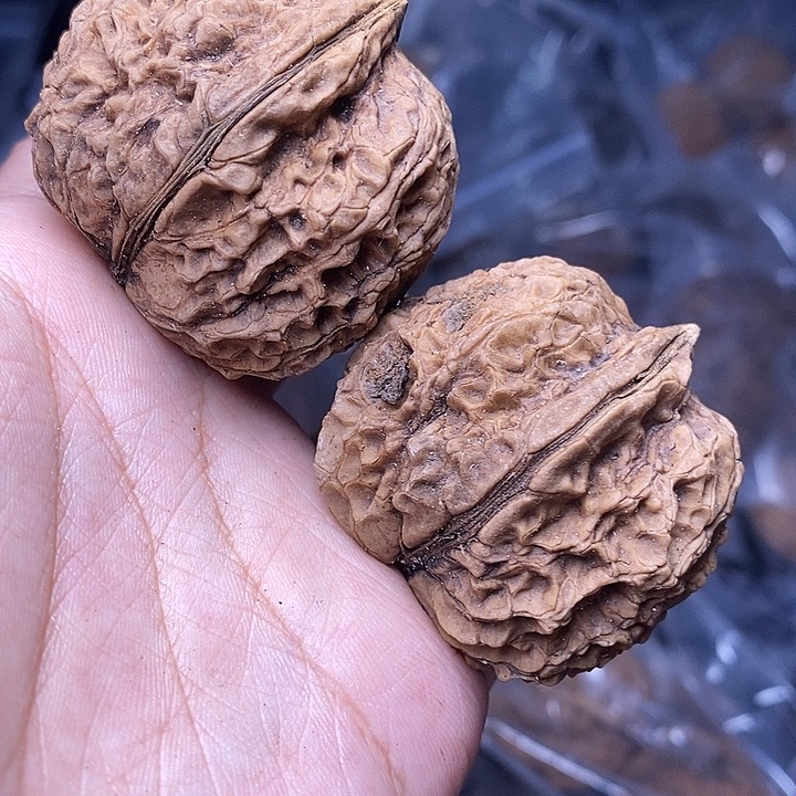 吊坠文玩核桃    77