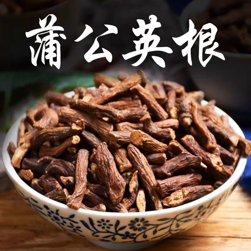 【参海】长白山蒲公英根 炒熟可泡水食用
