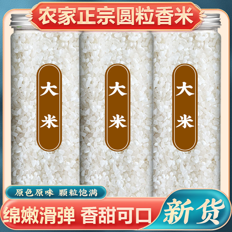 大米高品质新米长粒香大米香米现货速发当季新货大米罐装