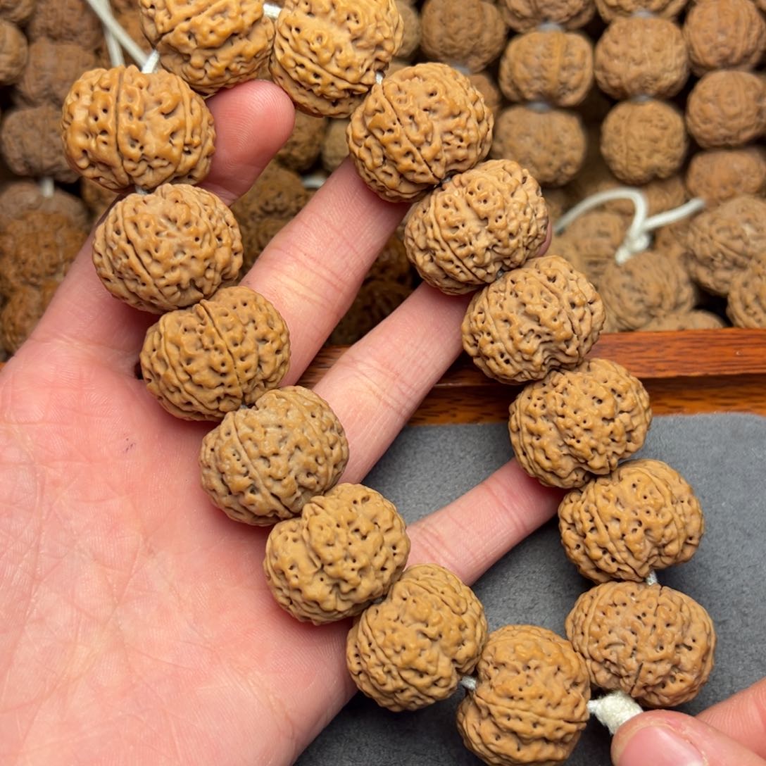 菩提30号尼泊尔大金刚24六瓣梅花蜂窝爆肉梁