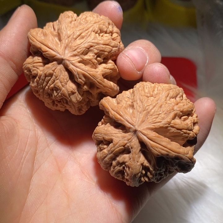 影***全文玩核桃吊坠我也是一天也没