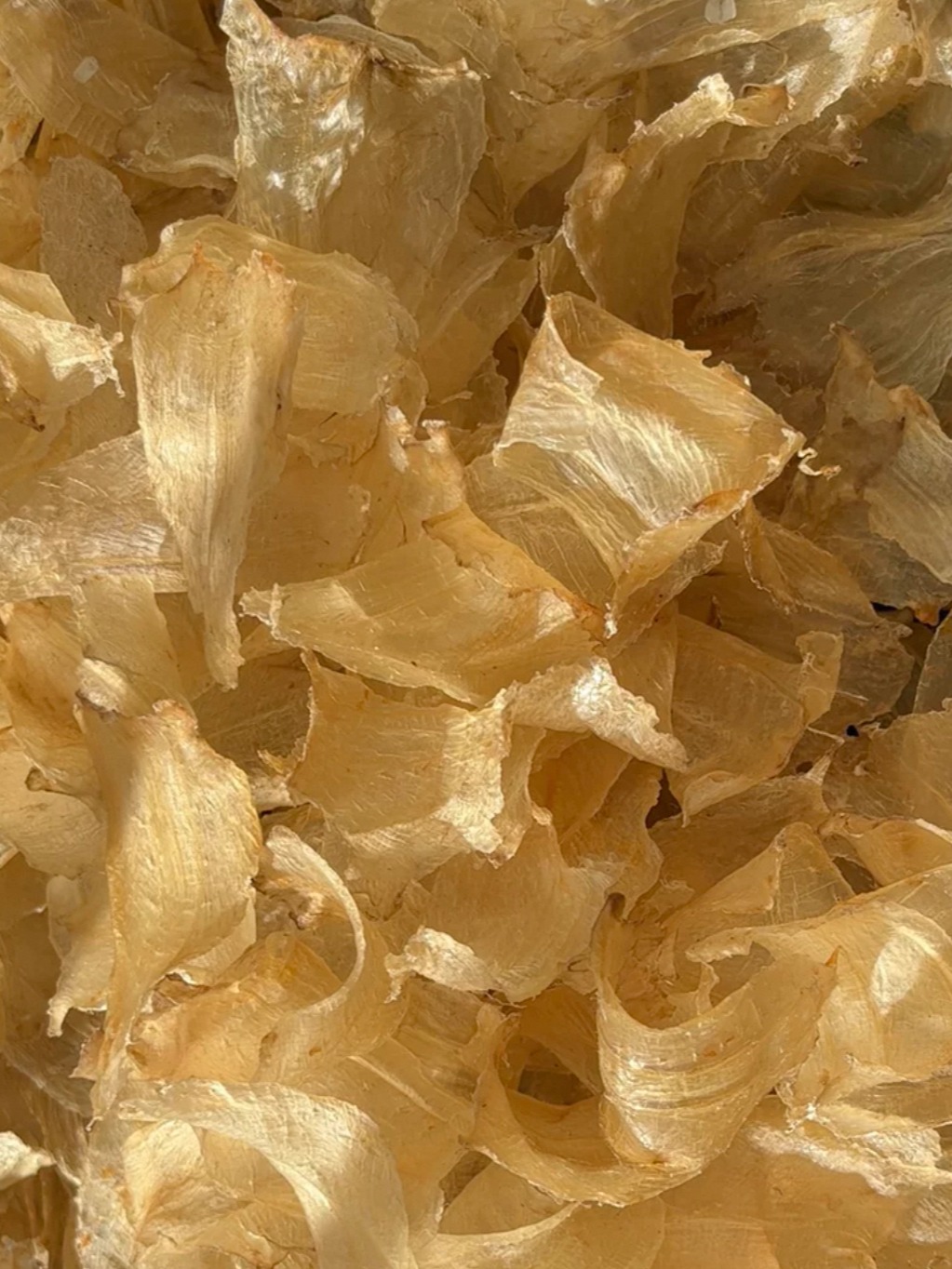 【鱼胶君】开片野生小印白花胶清水500g