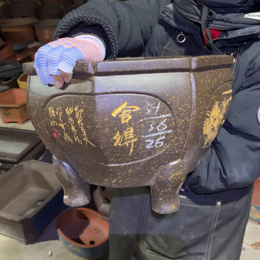 紫砂花盆盆景艺术