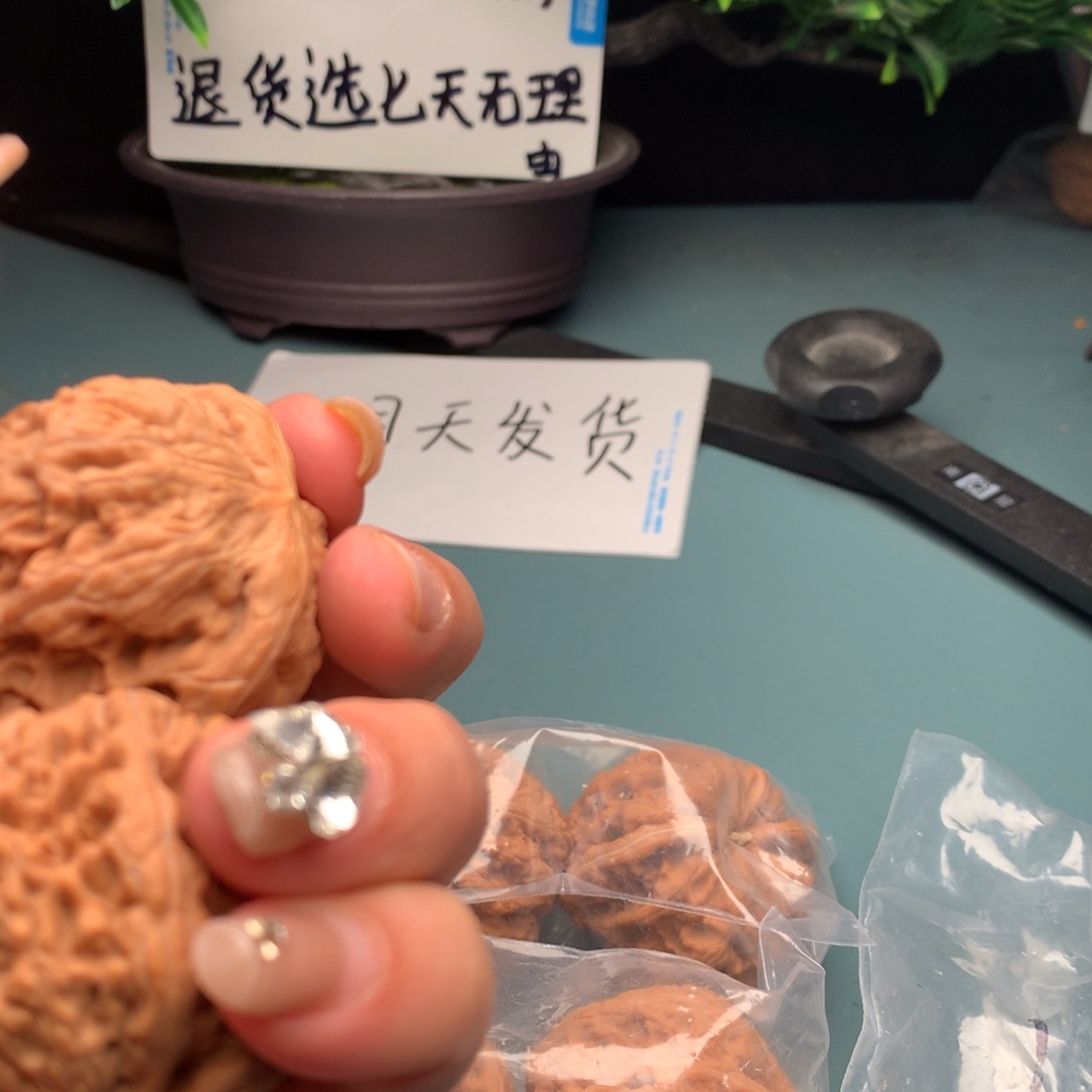 文玩核桃把件粗筋4849