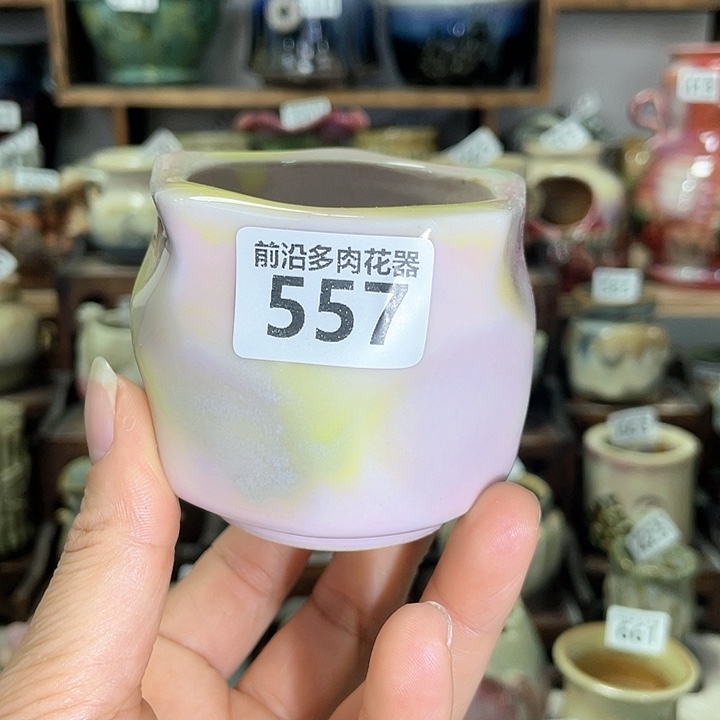 红陶内口径5高度6