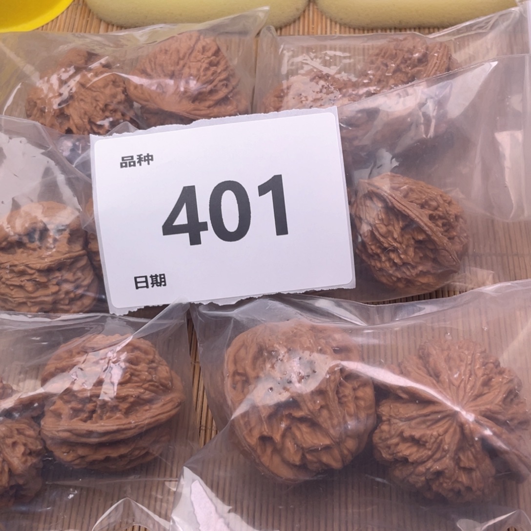 文玩核桃把件401号6对带练手粗筋