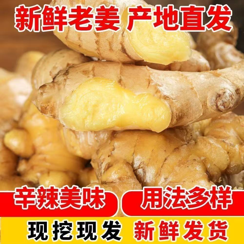 老姜现挖现发月子姜老姜味浓香辣详情页图片为准略带沙土